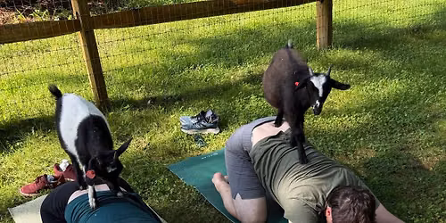 Fall Festive Goat Yoga + Mingle + Live Music