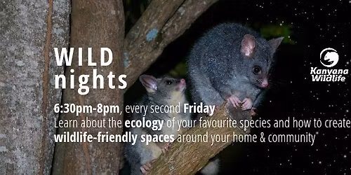 WILD Nights @ Kanyana Wildlife