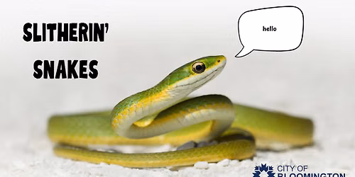 Slithering Snakes
