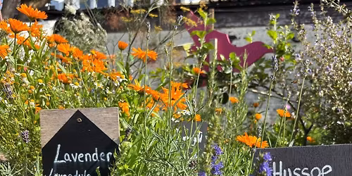 Drinks Garden Charity Opening