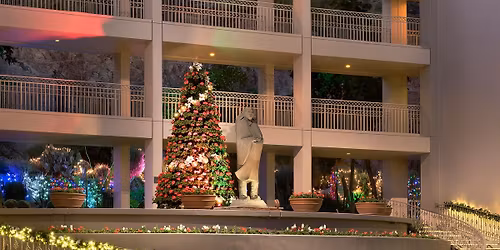 Holiday Tree Lighting Ceremony