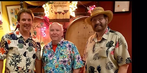 Chris Hampton Band at Vfw 2872