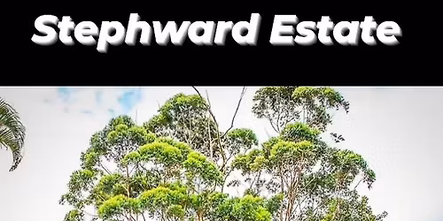 Xmas\/ Christmas lunch