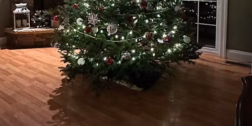 Black Friday Weekend- Christmas Tree Extravaganza! \ud83c\udf84\ud83c\udf84\ud83c\udf84\ud83c\udf84