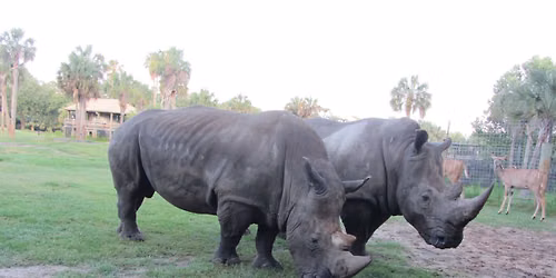 Bowling for Rhinos 2026