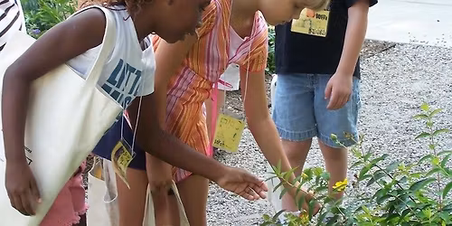 Nature Explorers Summer Camp: Ages 7-10