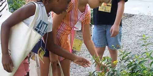 Nature Explorers Summer Camp: Ages 7-10