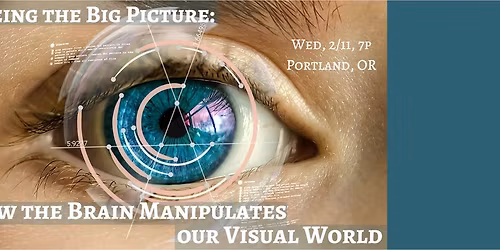 Seeing the Big Picture: How the Brain Manipulates our Visual World