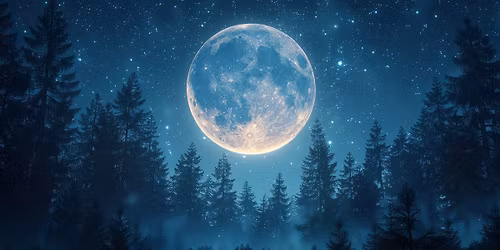 Stargazing with the Royal Astronomical Society of Canada