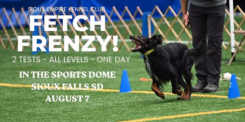 Fetch Fenzy- 2 Fetch Tests, indoors, on turf, fully fenced
