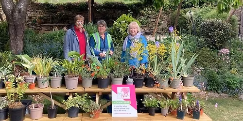 Charity coffee morning & plant sale ~ Bath in bloom