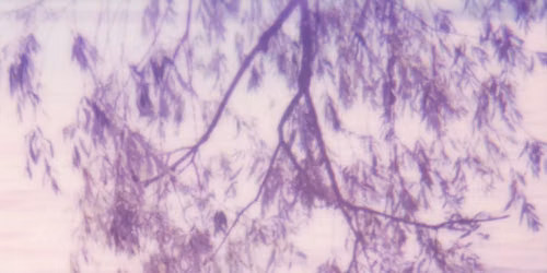 SE R\u00c9V\u00c9LER, AU FIL DE L'EAU. Habiter son corps \u2014 Accueillir son image \u2014 S'aimer d'avantage. 