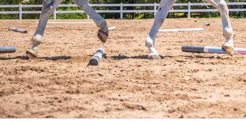 Pole Clinic at Canaan Farm