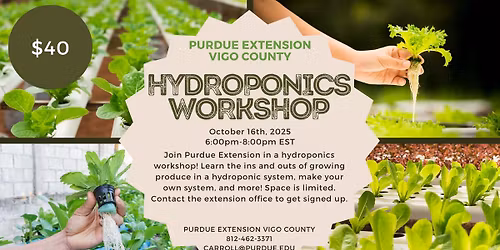 Hydroponics Workshop