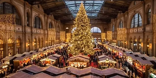 Swiss Day Trip at Christmas: Rhine Falls, Lucerne & Zurich