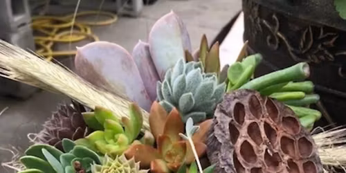 Succulent Pumpkin Workshop