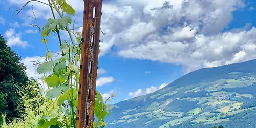 Reds\/Whites\/Bubbles from the Italian Alps