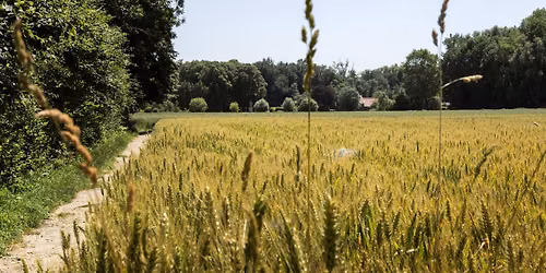 Ketskesloop Bottelare 6e editie