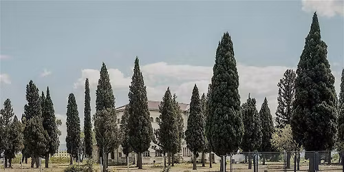 Absence in conversation with artists and curators