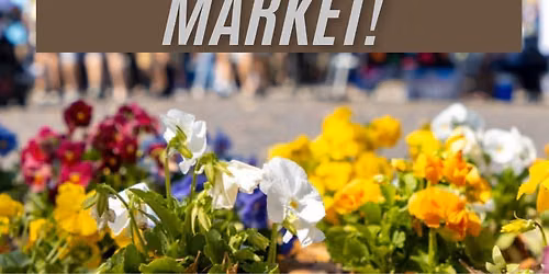 Earth Fairy Holistics June Vendor Market!