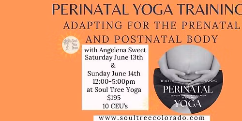 10 hour Perinatal Yoga Training: Adapting for the Prenatal and Postnatal Body with Angelena Sweet