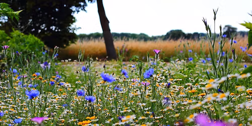 Let's try \/ Pr\u00f6va Fagning