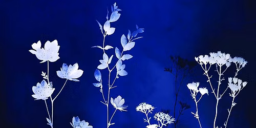 [Atelier] Les p'tites graines de photographe - initiation au cyanotype