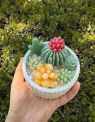 Succulent Candles