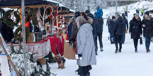 Julemarked p\u00e5 Aulestad