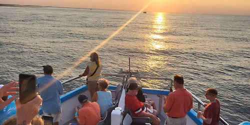 MERR Sunset Dolphin Watch Tour