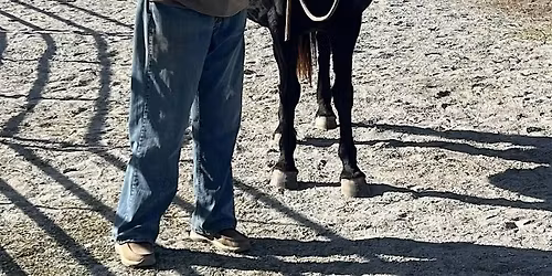 REIN RESCUE SPRING FLING