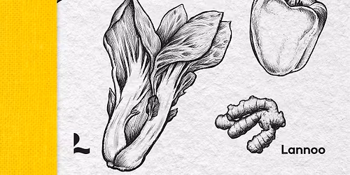 Fermentista: De gezonde kracht van gefermenteerde groenten