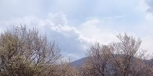 Конски връх