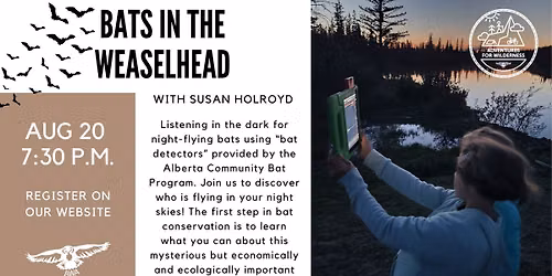 Bats at the Weaselhead