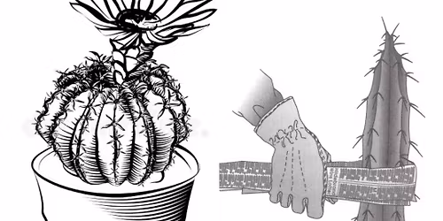LVCSS May Meeting - Repotting Workshop w\/ Constant Pots & Wander Gardens