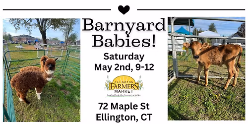 Barnyard Babies - Opening Day
