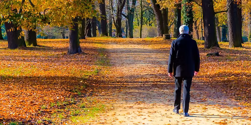 Wednesday Wander - Christmas Walk 