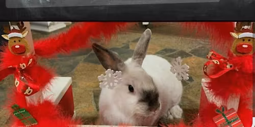 Spa Day\/Photo Shoot