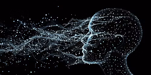 Where does Consciousness Stop? | Dr Niki Young