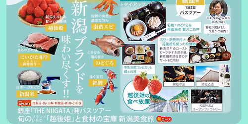 \u4e00\u6cca\u4e8c\u65e5\u300c\u65ec\u306e\u30d6\u30e9\u30f3\u30c9\u3044\u3061\u3054\u300c\u8d8a\u5f8c\u59eb\u300d\u3068\u98df\u6750\u306e\u5b9d\u5eab \u65b0\u6f5f\u7f8e\u98df\u65c5\u300d