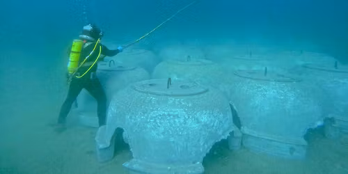 Science Pub: Restoring Coastal Kelp Forests
