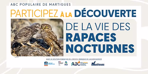 [ABC POPULAIRE ] DECOUVERTE DE LA VIE DES RAPACES NOCTURNES