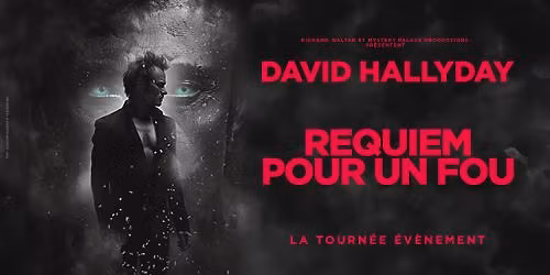 David Hallyday \u2022 Poitiers, Arena Futuroscope \u2022 08 mars 2026