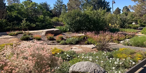 Intro to Water-wise Landscapes