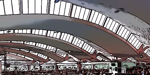 Mercato delle Pulci Domenica 2 Novembre