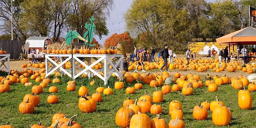 Fall Festival 