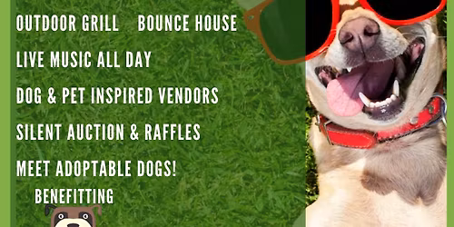 DogFest!