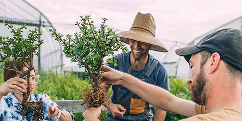 Bonsai Workshop at WeHa Brewing & Roasting Co.