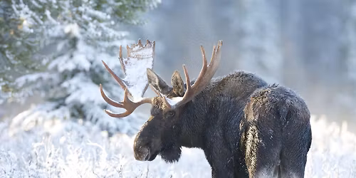 Annual Banquet and Fundraiser