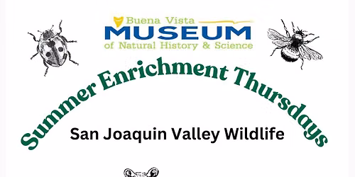Science Enrichment Thursdays  